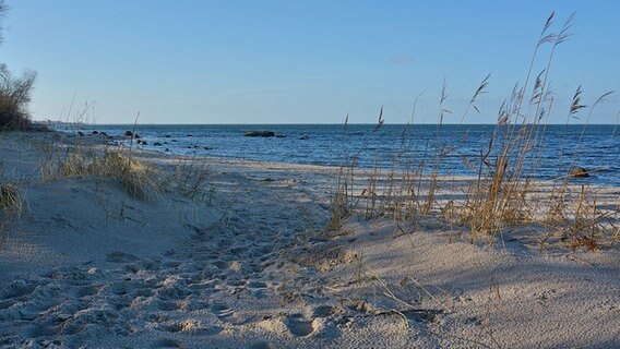 Spuren im Sand an einem ansonsten menschenleeren Strandaufgang © NDR Foto: Günter Kamp aus Greifswald