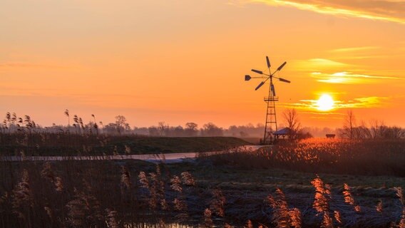 Sonnenaufgang hinter eine Windmühle © NDR Foto: Marion Schmidt aus Barth