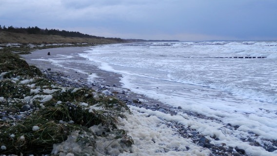 Schaum der Ostsee liegt am Strand © NDR Foto: Marion Schultz aus Stralsund