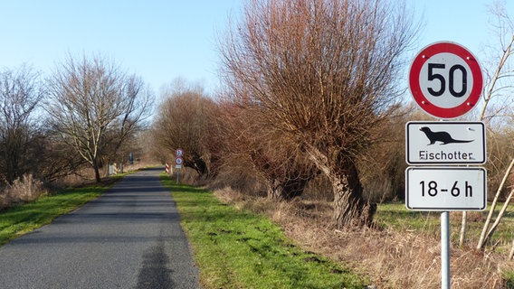 Ein Straßenschild fordert 50 km/h von 18-6 Uhr wegen Otterwechsels. © NDR Foto: Marianne Schultz aus Stralsund