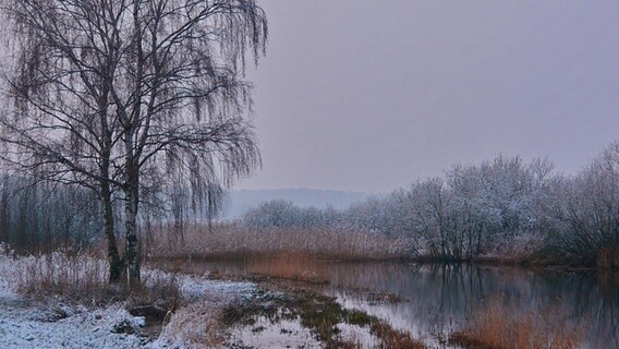 Winterlandschaft am Ryck bei Greifswald © NDR Foto: Günter Kamp aus Greifswald