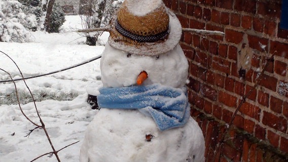 Schneemann mit Hut © NDR Foto: Marthe Wahl aus Murchin-Pinnow