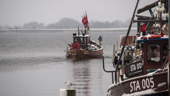 Fischerboot verlässt einen Hafen. © NDR Foto: Thekla Oelke aus Brandshagen