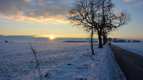 Sonnenaufgang über einem verschneiten Feld © NDR Foto: Charlotte Ehrlich aus Greifswald