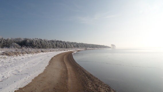Strand auf Rügen im Winter © NDR Foto: Hans Vogt aus Poseritz