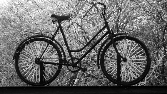 Schwarzes Fahrrad im Schnee © NDR Foto: Nadja Schriever aus Rostock