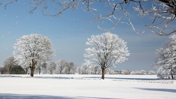 Winterlandschaft bei Sonnenschein © NDR Foto: Rainer Zoske aus Greifswald