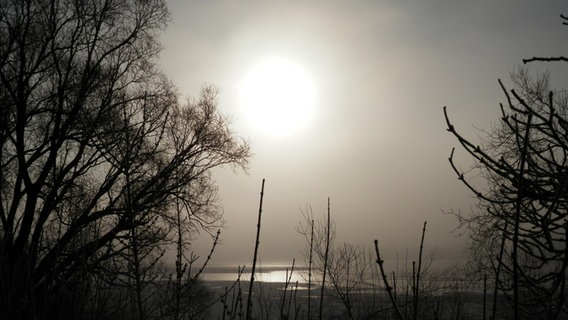 Nebel über einem Moorteich © NDR Foto: Marion Schultz aus Stralsund