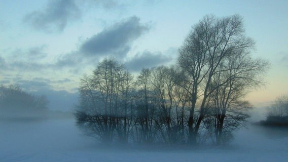 Nebel bei Sonnenaufgang © NDR Foto: Anke Parakenings aus Lassan