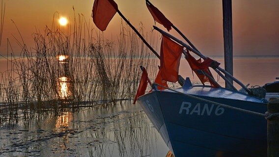 Die Sonne versinkt hinter einem Fischerboot. © NDR Foto: Günter Kamp aus Greifswald