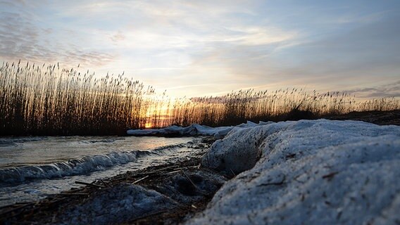 Sonnenuntergang am Stettiner Haff © NDR Foto: Pascal Netzer aus Zirchow