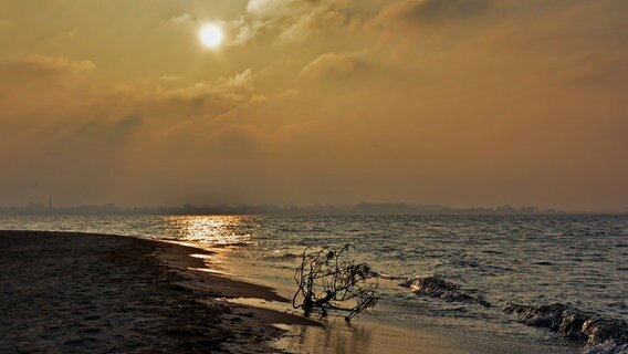 Strandgut im Sonnenuntergang © NDR Foto: Günter Kamp aus Greifswald