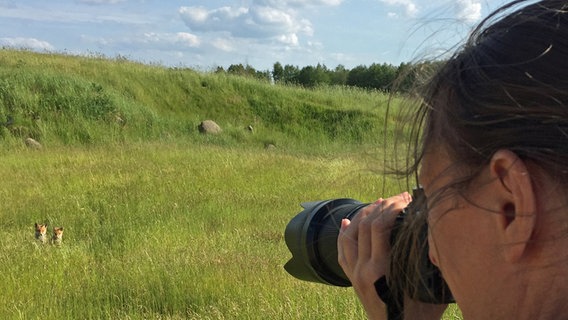 Eine Fotografin fotografiert zwei Füchse im hohen Gras © NDR Foto: Katrin Kunkel aus Ribnitz-Damgarten