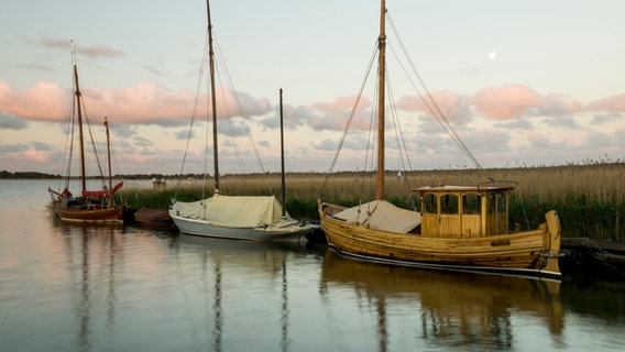 Drei Boote liegen an einem Steg im Schilf. © NDR Foto:  Peter Schumacher aus Neuhof