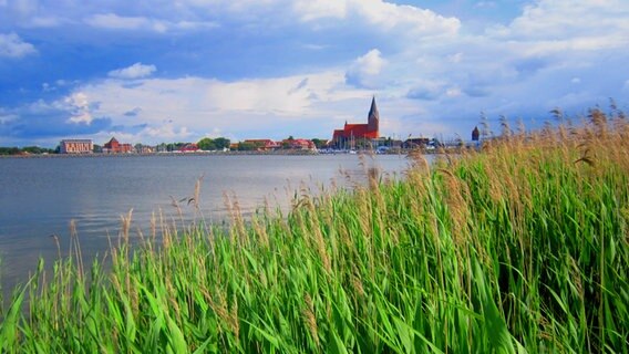 Schilf am Ufer und die Silhouette von Barth © NDR Foto: Mario Galepp aus Barth