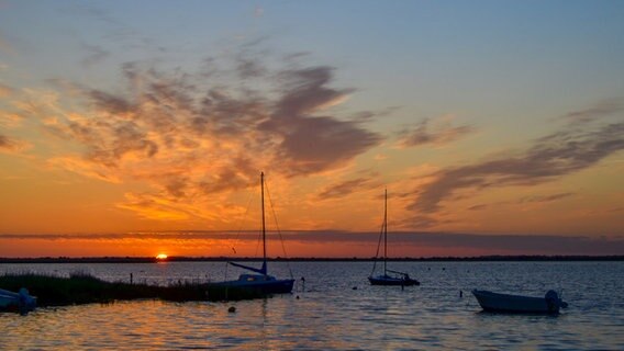 Sonnenaufgang am Bodden auf Hiddensee © NDR Foto: Dagmar Jaschen aus Bestensee