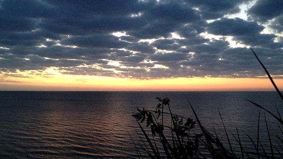 Dichte Wolkendecke über der Ostsee © NDR Foto: Doreen Heller aus Neubrandenburg