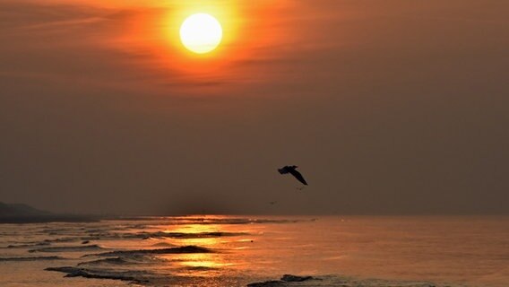 Sonnenuntergang über der Ostsee © NDR Foto: Katrin Kunkel aus Ribnitz-Damgarten