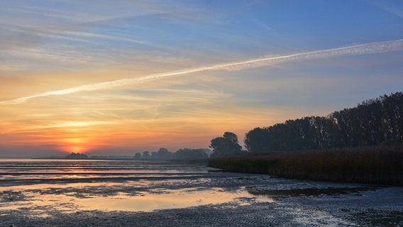 Sonnenaufgang am Greifswalder Bodden © NDR Foto: Günter Kamp aus Greifswald