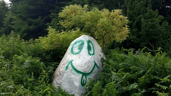 Ein bemalter Stein im Grünen © NDR Foto: Detlev Behrend aus Göhren