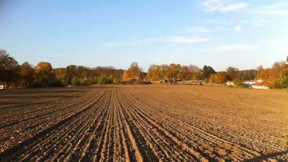 Acker im Herbst © NDR Foto: Edith Witte aus Gützkow