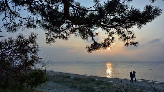 Spaziergänger am Strand © NDR Foto: Günter Kamp aus Greifswald