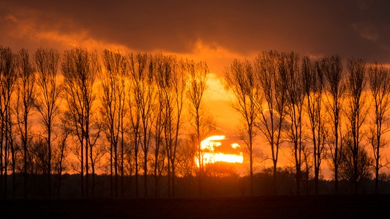 Sonnenuntergang © NDR Foto: Uwe Kantz aus Hinrichshagen bei Greifswald