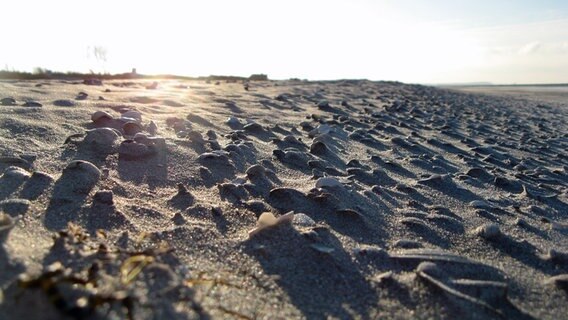 Der Strand ist mit einer Frostschicht überzogen. © NDR Foto: Christine Arendt aus Kloster