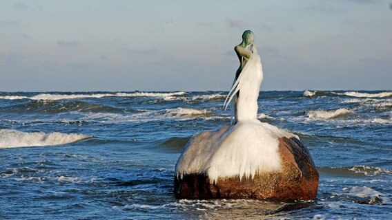 Eine Nixenstatue im Meer ist vom Eis bedeckt. © NDR Foto: Matthias Scheibe aus Sellin