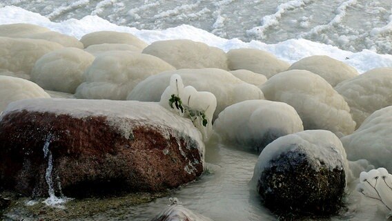 Eine dicke Eisschicht bedeckt die an der Küste liegende Steine. © NDR Foto:  Dagmar Borgwardt aus Ueckermünde
