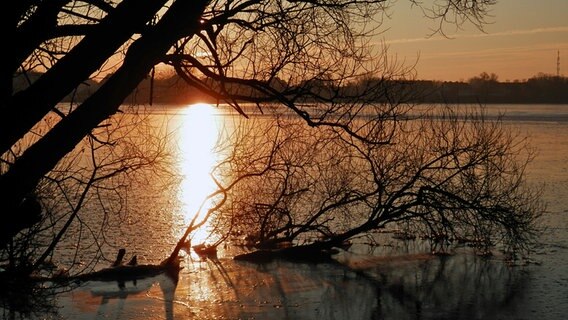 Die Sonne geht über einem zugefrorenen See auf. © NDR Foto:  Marion Schultz aus Stralsund