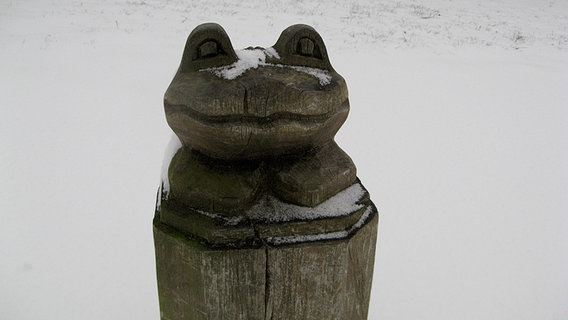 Froschskulptur aus Holz im Schnee © NDR Foto: Christine Arendt  Insel Hiddensee