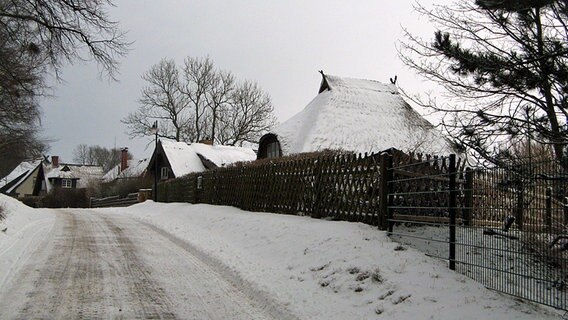 Schneebedeckte Häuser © NDR Foto: Christine Arendt Insel Hiddensee