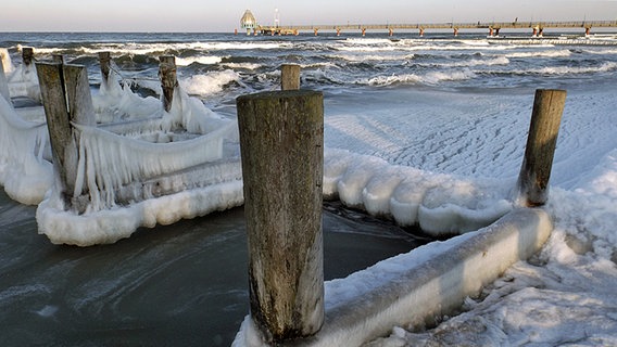 Holzpflöcke stehen im vereisten Wasser am Strand © NDR Foto: Gerd Griephan aus Zingst