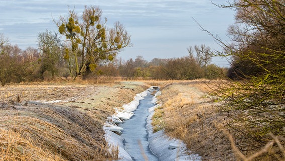 Vereister Bach durchquert winterliche  Landschaft. © NDR Foto: Detlef Meier aus Ducherow