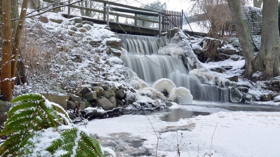 Eine Brücke, unter der ein Wasserfall in einen Bach fließt. © NDR Foto: Günter Kamp aus Greifswald