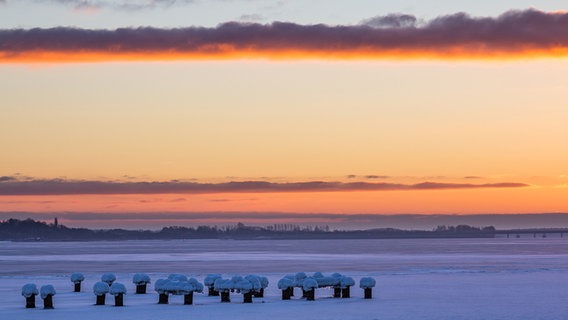 Zugefrorene Buhnenpfähle vor Sonnenaufgang © NDR Foto: Jens Gottschalk aus Stralsund