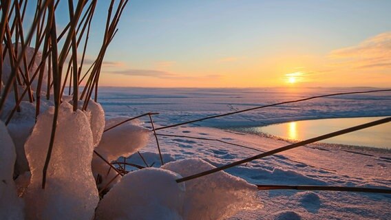 Sonnenuntergang über teilweise zugefrorenem Wasser © NDR Foto: Sebastian Werner aus Loddin
