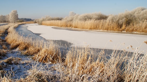 Rauhreif und Eis bedecken einen Fluss, der die Landschaft durchquert. © NDR Foto: Detlef Matthias aus Greifswald