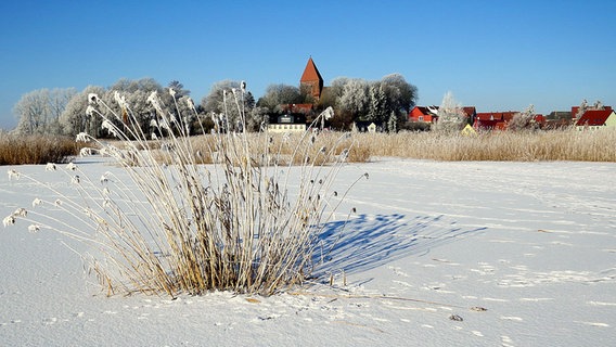 Blick auf eine Kirche vom zugefrorenem See aus. © NDR Foto: Gabriele Spindler aus Richtenberg
