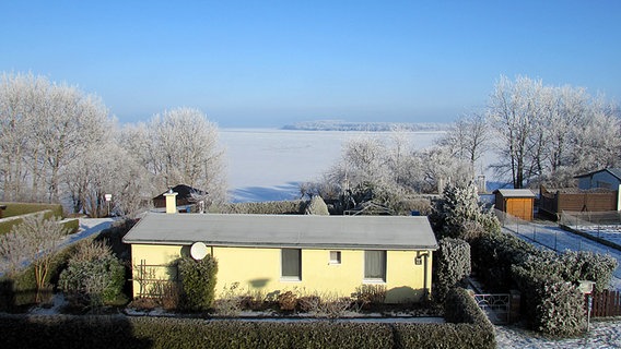 Blick auf dicht am Wasser stehendes Haus und Baumreihe. © NDR Foto: Jürgen Zierke aus Stralsund