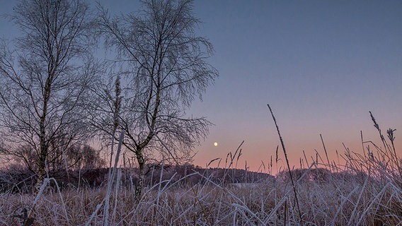 Als kleiner Punkt erscheint der Mond am violetten Himmel. © NDR Foto: Stefan Krüger aus Bergen von der Insel Rügen