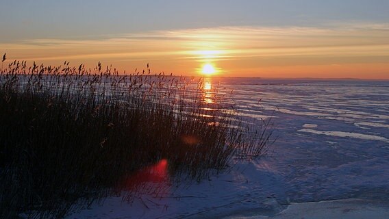 Sonne geht am Horizont unter © NDR Foto: Ingo Zerbe aus Loddin