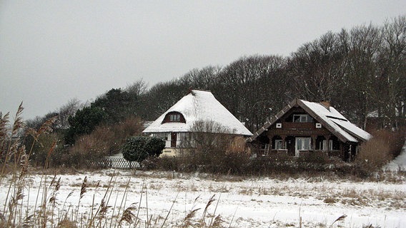 Schnee fällt auf zwei Häuser, die am Waldrand stehen. © NDR Foto: Christine Arendt von der Insel Hiddensee