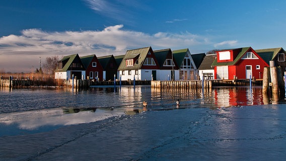 Häuser werden von der Sonne beschienen. © NDR Foto: Marcel Guth und Thomas Hausrath aus Rostock