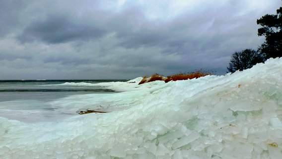 Das Ufer am Meer ist von Eis bedeckt. © NDR Foto: Roland Lumma aus Altwarp