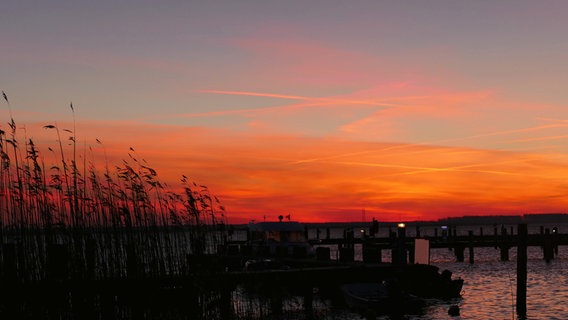 Morgenrot auf Hiddensee © NDR Foto: Gerald Schneider