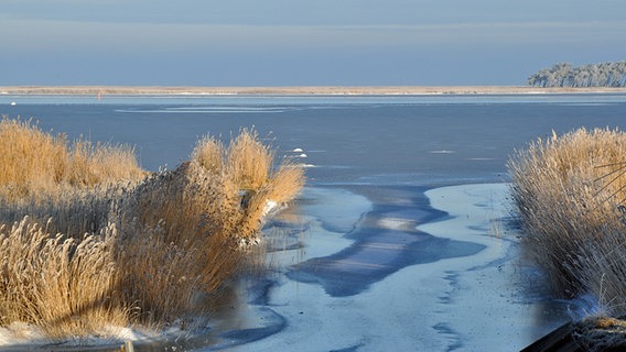 Blick auf den zugefrorenen Bodden. © NDR Foto: Ingrid Exner aus Hohendorf
