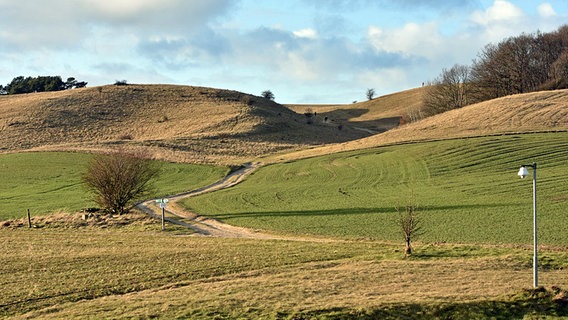 Blick auf eine hügelige Landschaft © NDR Foto: Katrin Kunkel aus Ribnitz-Damgarten