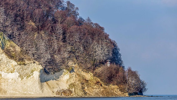 Kreidefelsen © NDR Foto: Georg Meyer aus Alt Reddevitz